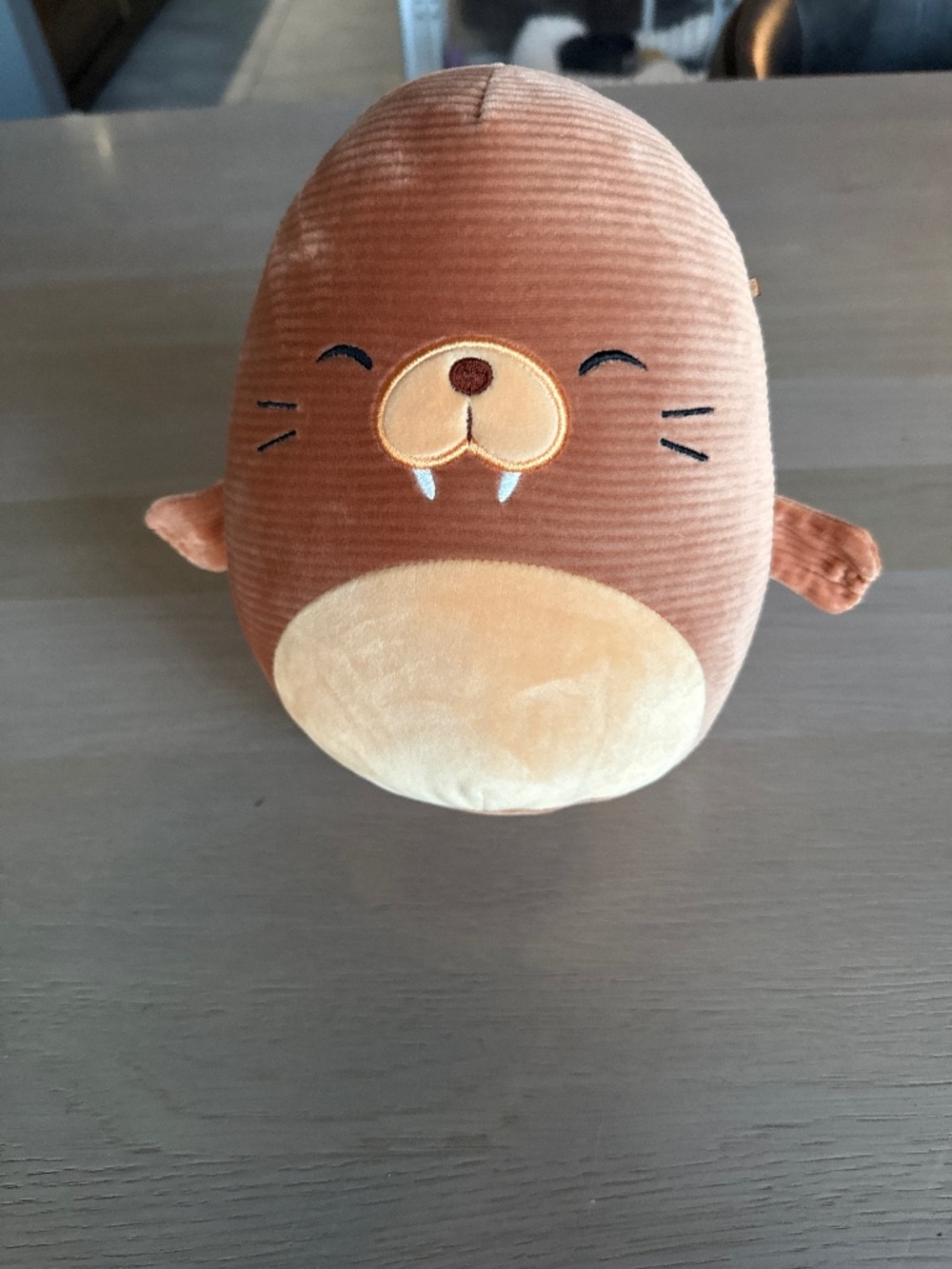 Squishmallows Bruce the Walrus Squisharoys Corduroy Plush 8”